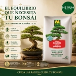 Sustrato Bonsáis Massó Garden 2,5 L
