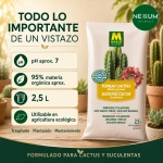 Sustrato Cactus y Suculentas Massó Garden 2,5 L