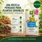 Sustrato Plantas Carnívoras y Acidófilas Massó Garden 2,5 L