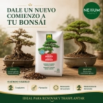 Sustrato Bonsáis Massó Garden 2,5 L