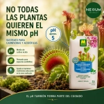 Sustrato Plantas Carnívoras y Acidófilas Massó Garden 2,5 L