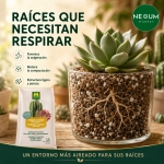Sustrato Cactus y Suculentas Massó Garden 2,5 L