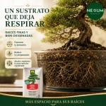 Sustrato Bonsáis Massó Garden 2,5 L
