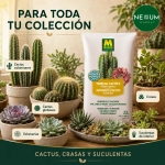 Sustrato Cactus y Suculentas Massó Garden 2,5 L